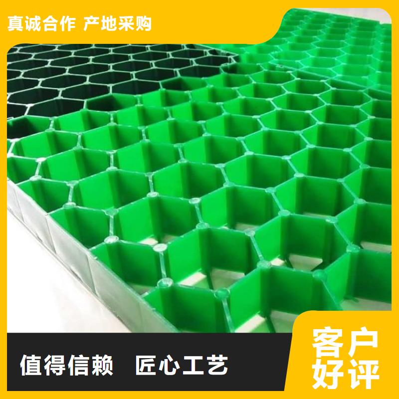 三维土工网垫视频-西藏三维土工网垫-(该地)可服务区域昌都|林芝|阿里|山南|拉萨|日喀则|那曲