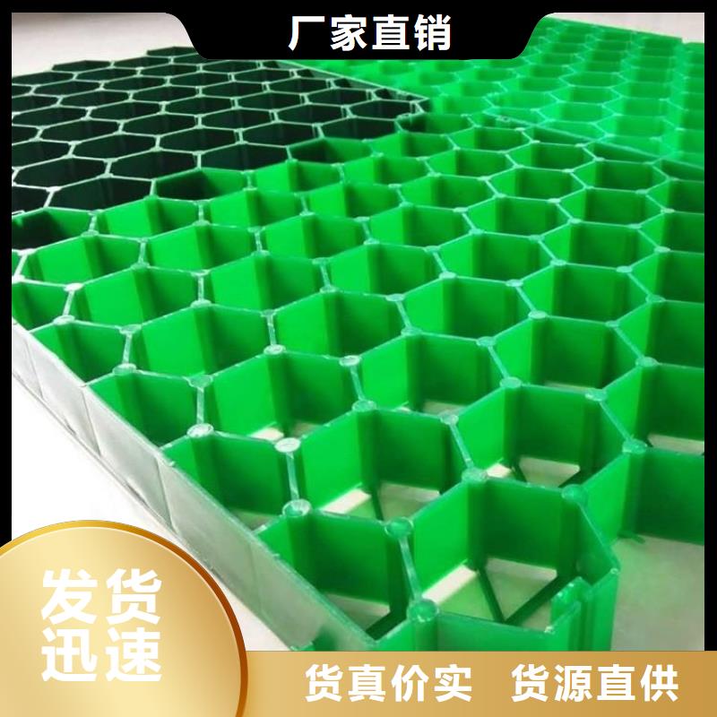 植草格_土工格室工厂直营