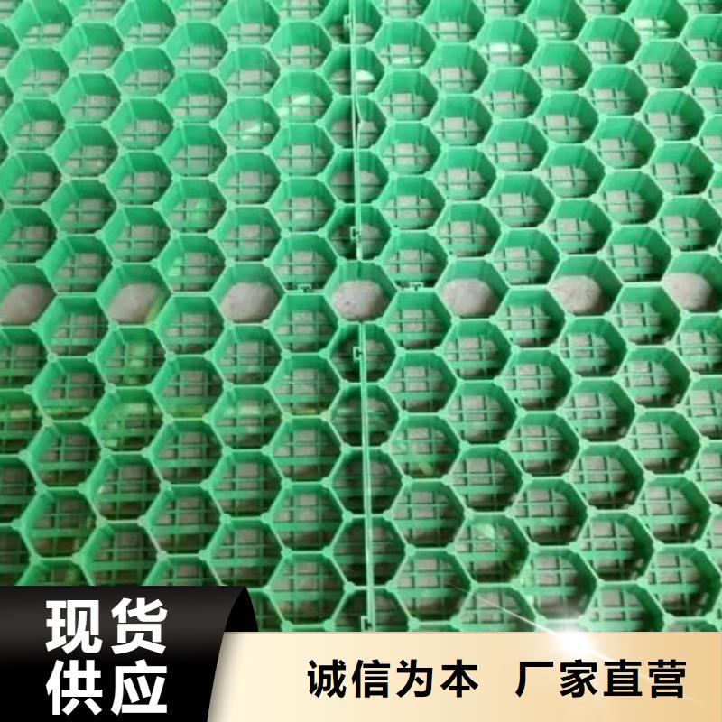 植草格HDPE黑色土工膜随到随提