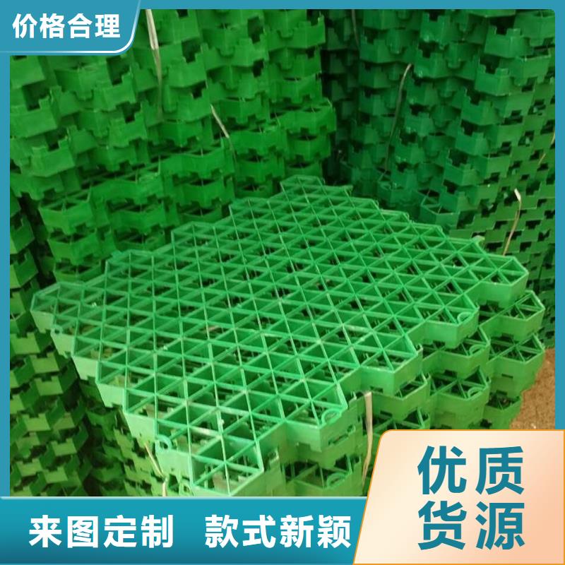三维土工网垫视频-西藏三维土工网垫-(该地)可服务区域昌都|林芝|阿里|山南|拉萨|日喀则|那曲