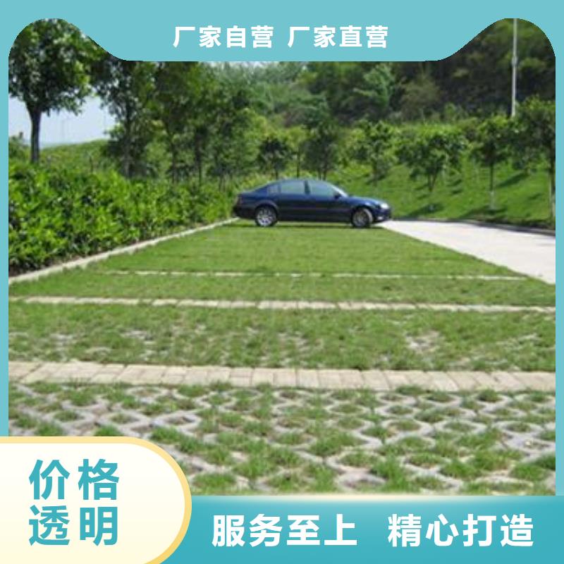 植草格,聚乙烯土工膜欢迎新老客户垂询