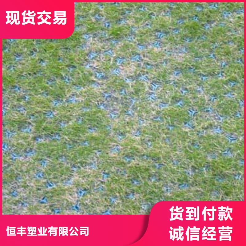 植草格,聚乙烯土工膜欢迎新老客户垂询