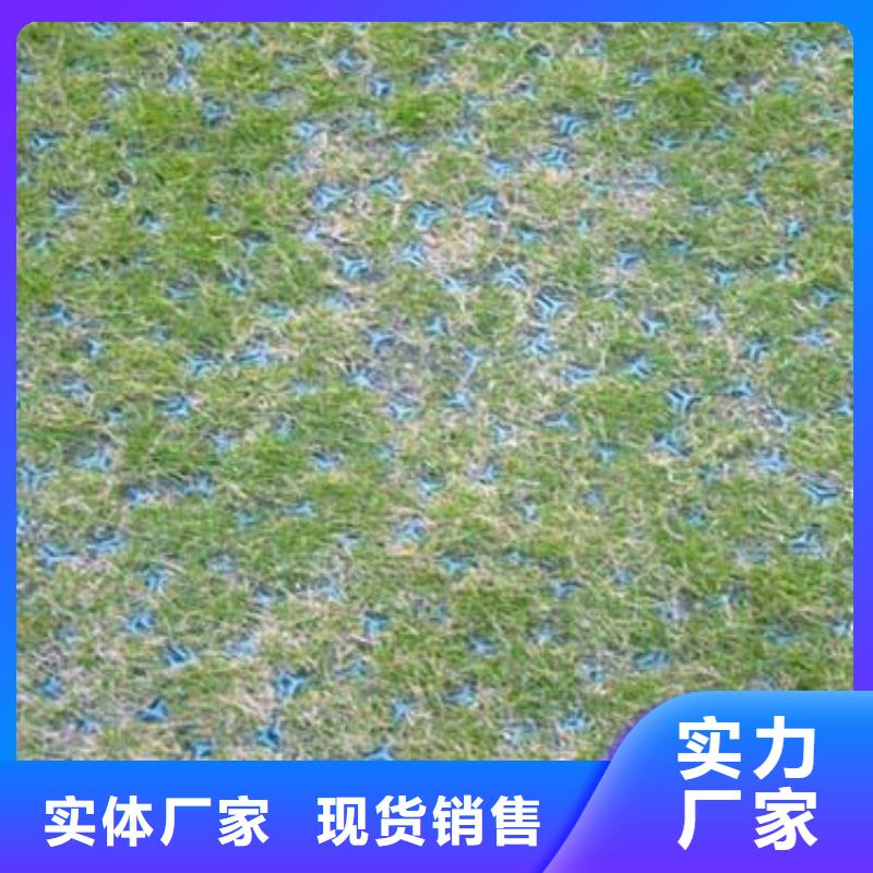 三维土工网垫视频-西藏三维土工网垫-(该地)可服务区域昌都|林芝|阿里|山南|拉萨|日喀则|那曲