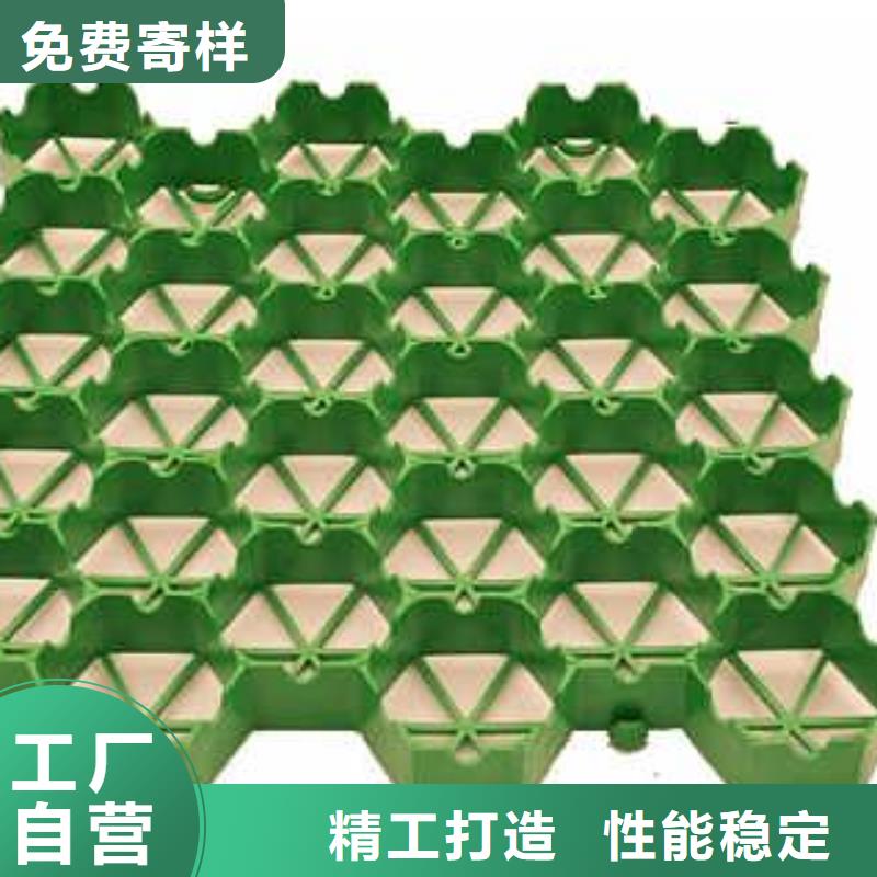 植草格,聚乙烯土工膜欢迎新老客户垂询