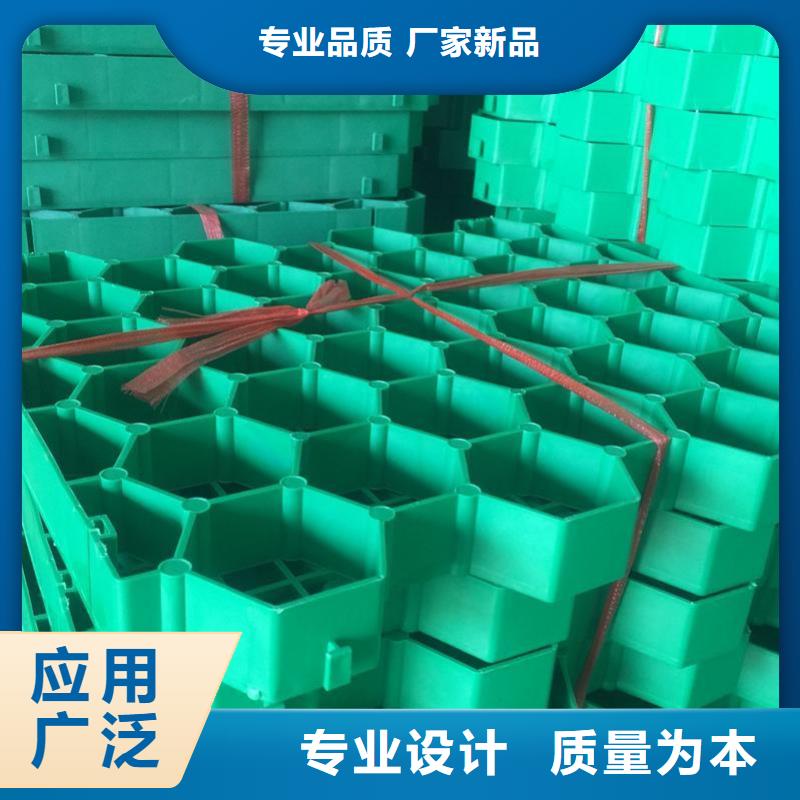 植草格,聚乙烯土工膜欢迎新老客户垂询