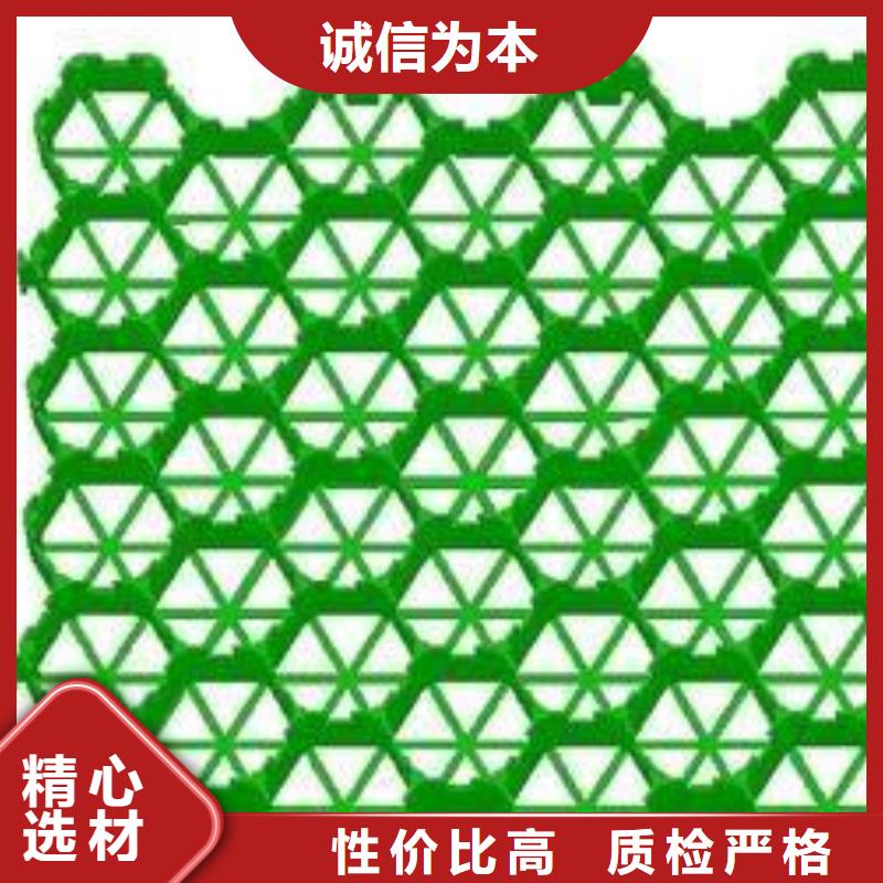 三维土工网垫视频-西藏三维土工网垫-(该地)可服务区域昌都|林芝|阿里|山南|拉萨|日喀则|那曲