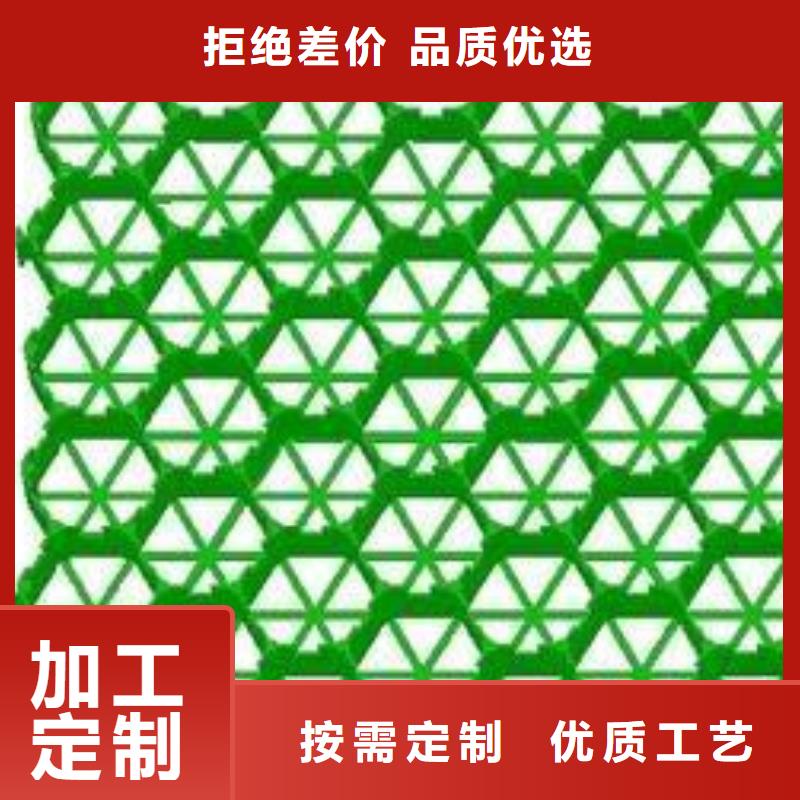 植草格,聚乙烯土工膜欢迎新老客户垂询