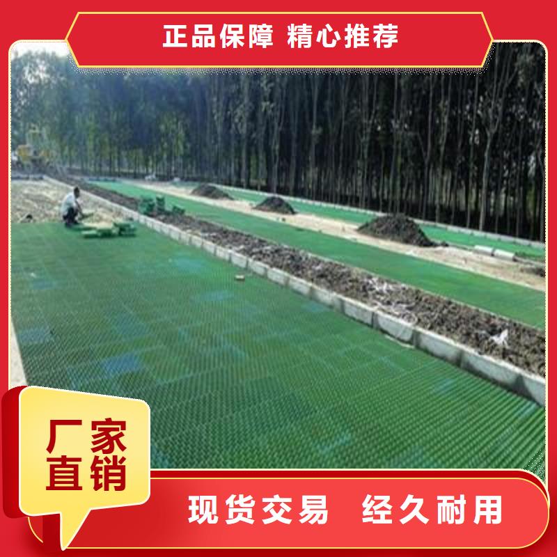 植草格,聚乙烯土工膜欢迎新老客户垂询