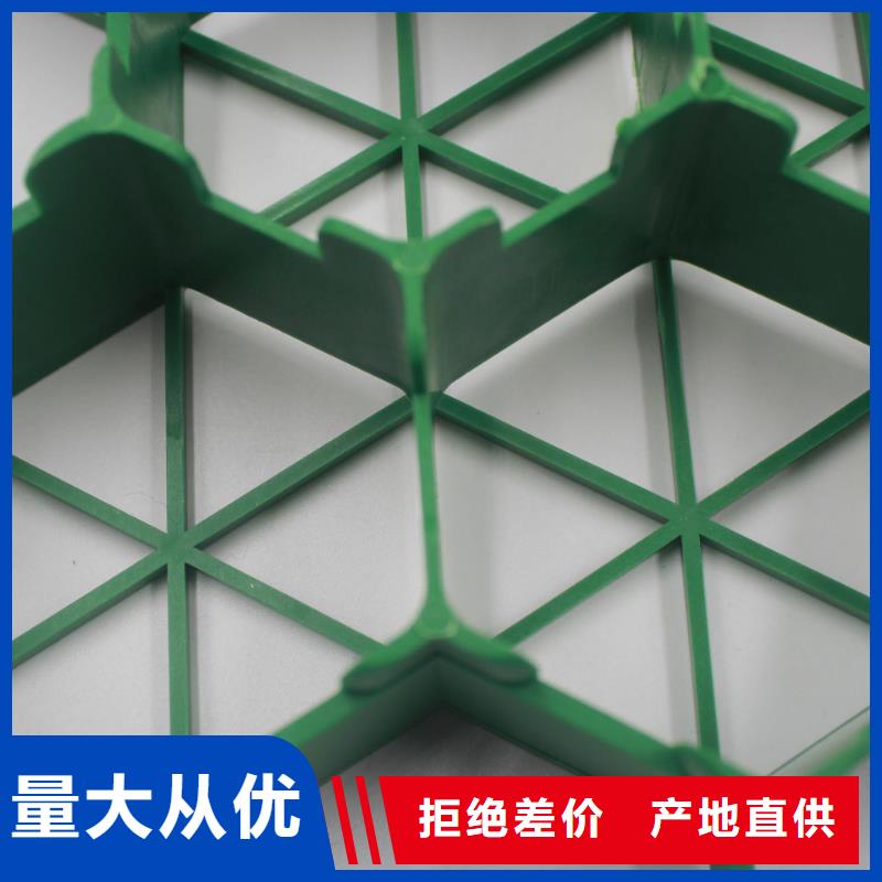 三维土工网垫视频-三维土工网垫_四川省资阳市市场覆盖乐至|安岳|内江|雅安|南充|攀枝花等