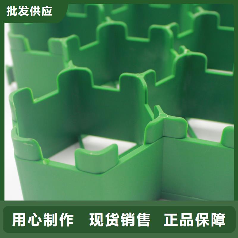 植草格_土工格室工厂直营