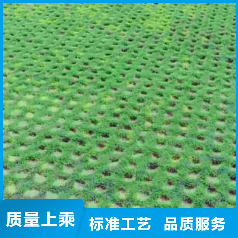 植草格土工布售后无忧