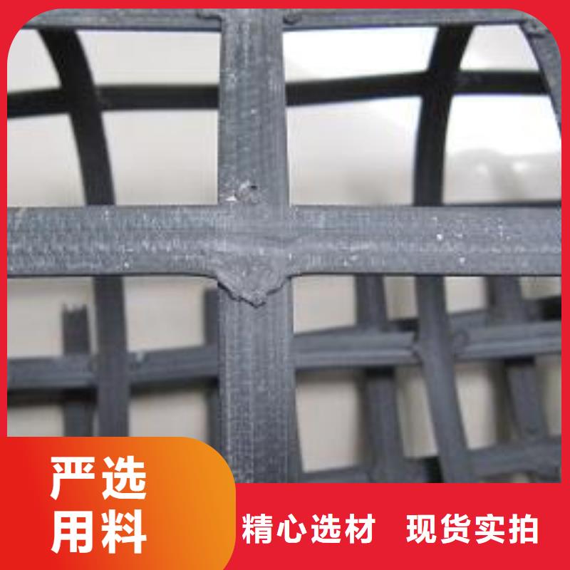 钢塑土工格栅土工席垫满足多种行业需求