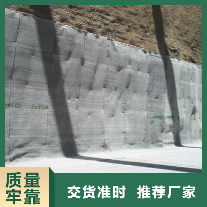 【膨润土防水毯】单向塑料土工格栅生产厂家