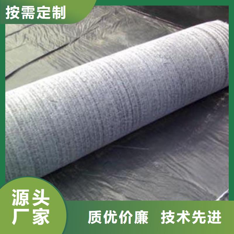 膨润土防水毯-双向土工格栅厂家工艺先进