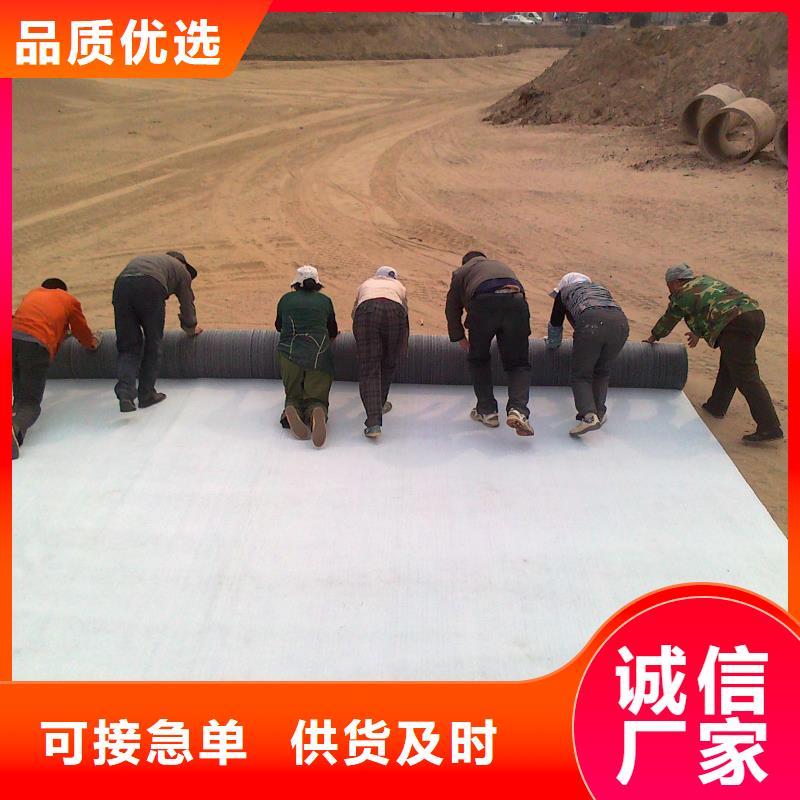 膨润土防水毯-三维土工网垫精工打造