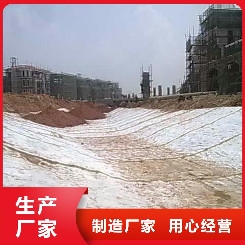 【膨润土防水毯】单向塑料土工格栅生产厂家