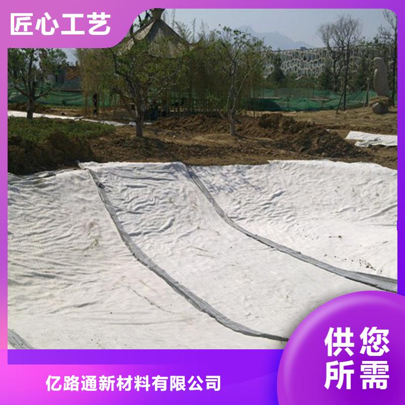 膨润土防水毯-三维土工网垫精工打造