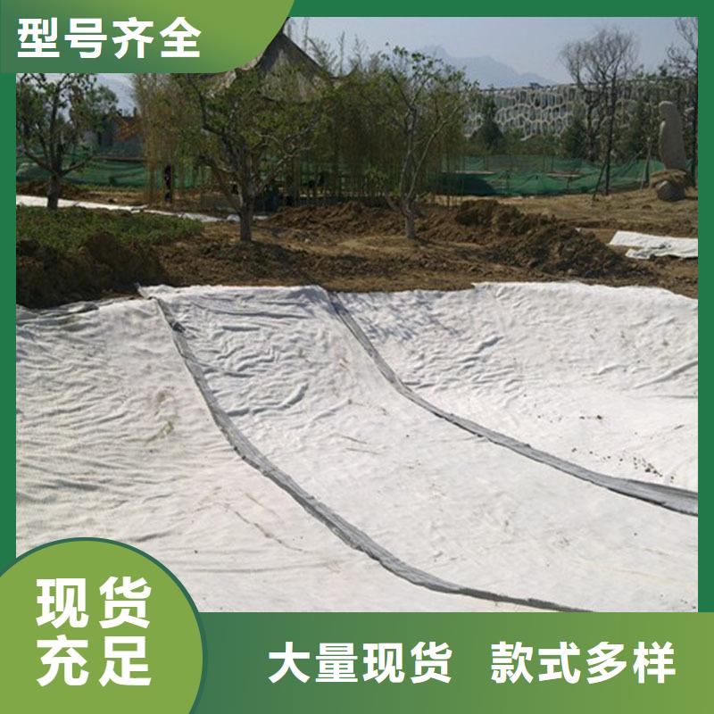 防渗膜视频-防渗膜|玉林市|兴业|容县|防城港|来宾|桂林|崇左
