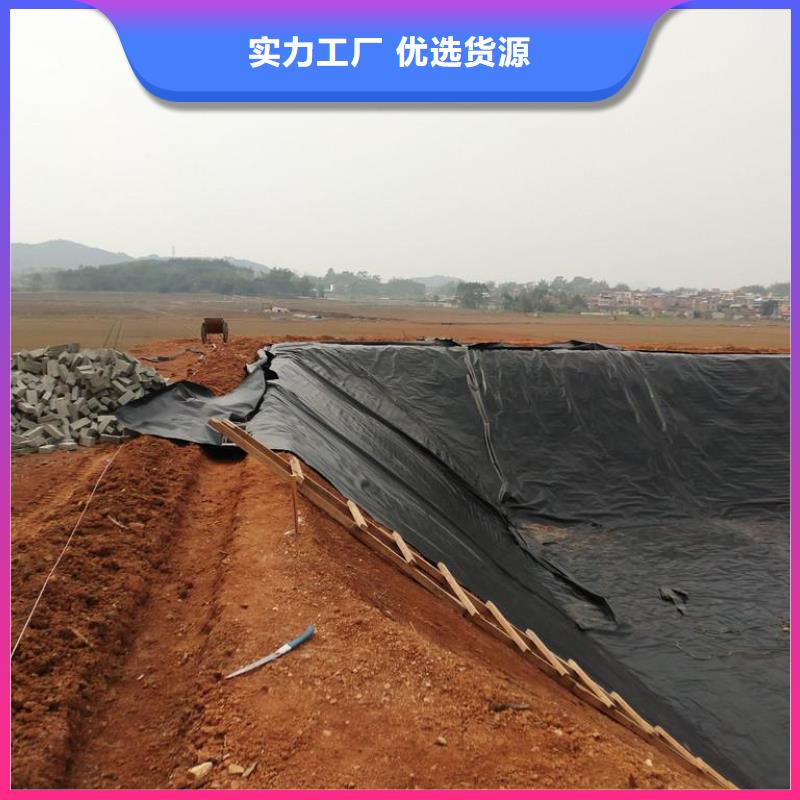 土工膜,土工席垫厂家直销供货稳定