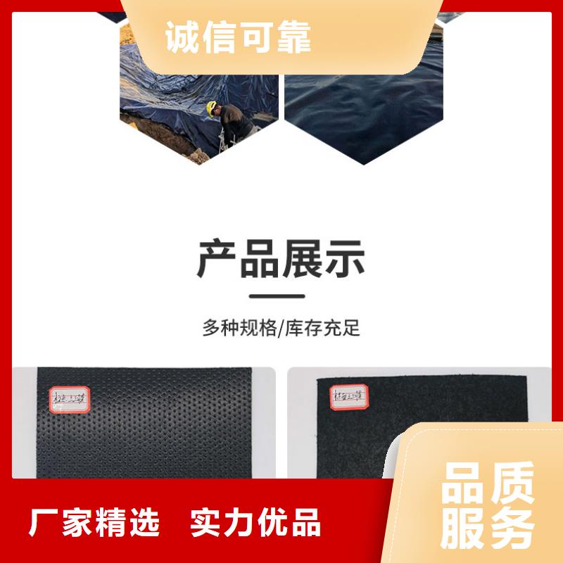 土工膜,土工席垫厂家直销供货稳定