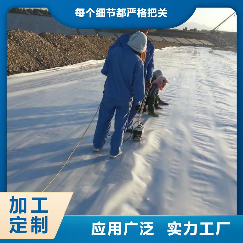 土工膜-复合土工膜批发价格