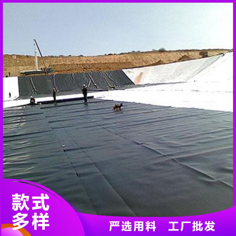土工膜,土工席垫厂家直销供货稳定
