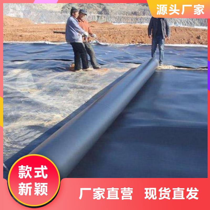 土工膜,土工席垫厂家直销供货稳定