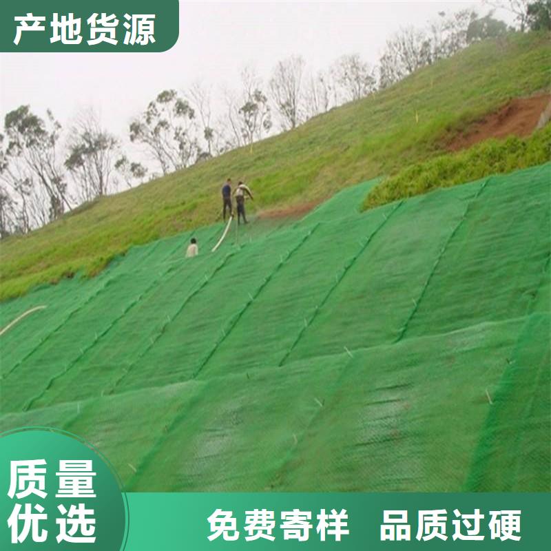 三维植被网单向塑料土工格栅应用范围广泛