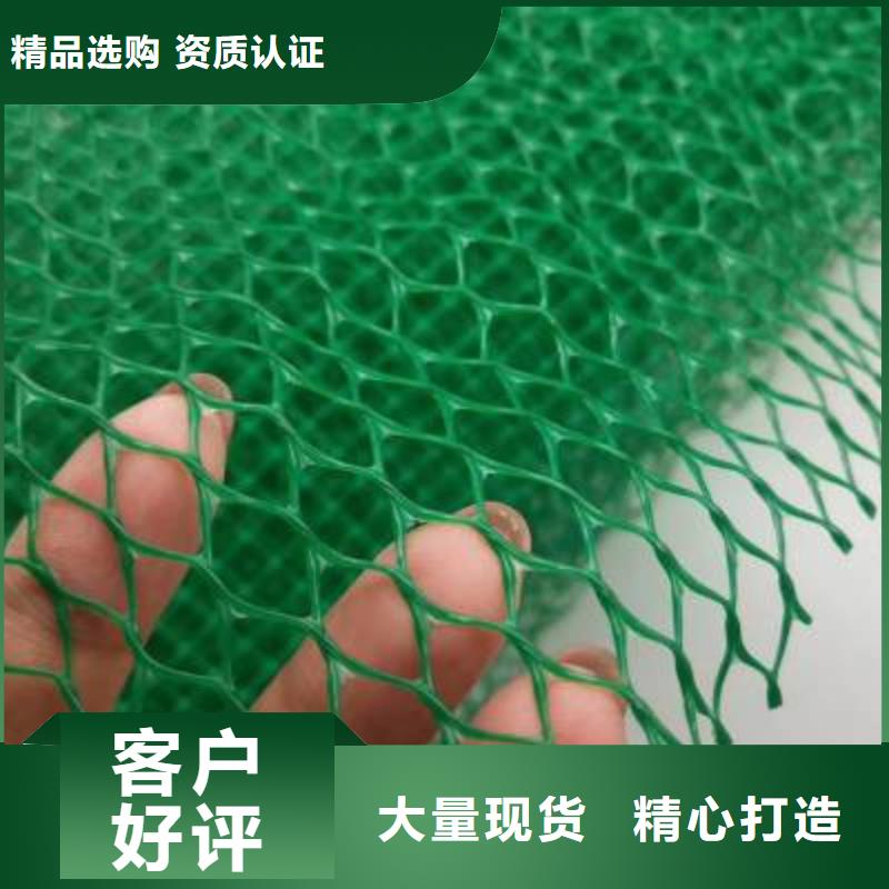 三维植被网凸结点钢塑土工格栅本地配送