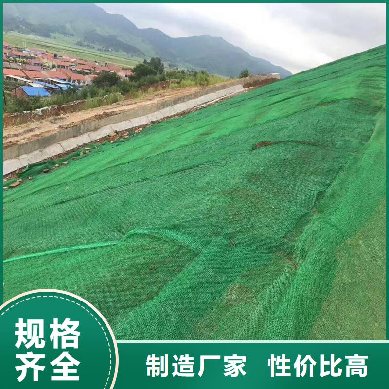 三维植被网凸结点钢塑土工格栅本地配送