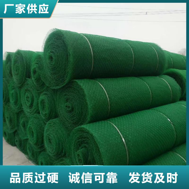 三维植被网_玻纤土工格栅实体厂家支持定制