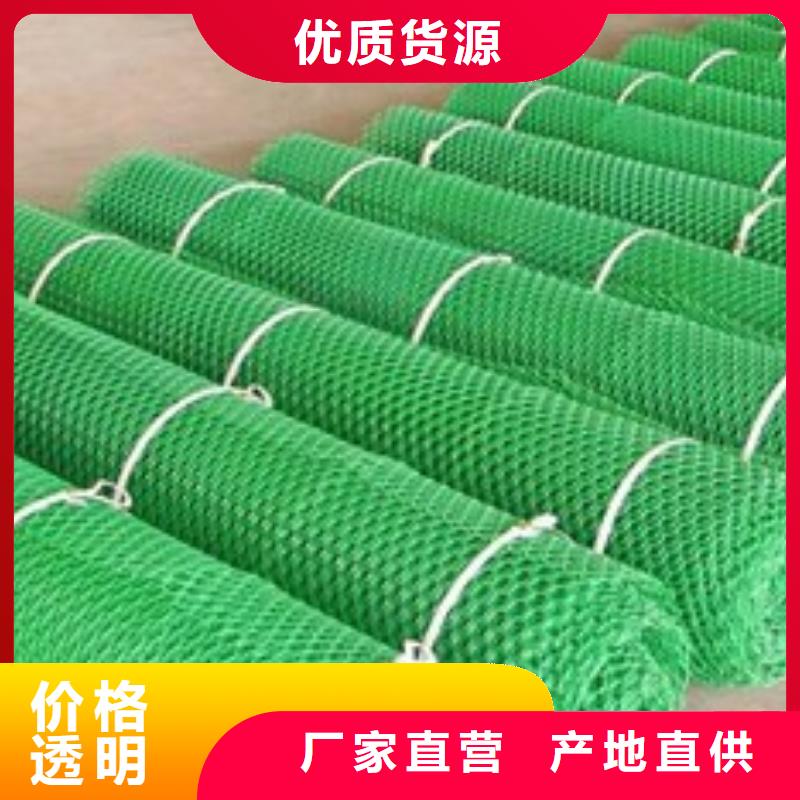 三维植被网_玻纤土工格栅实体厂家支持定制