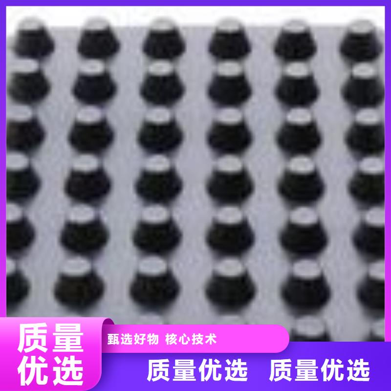 塑料排水板土工席垫好货有保障