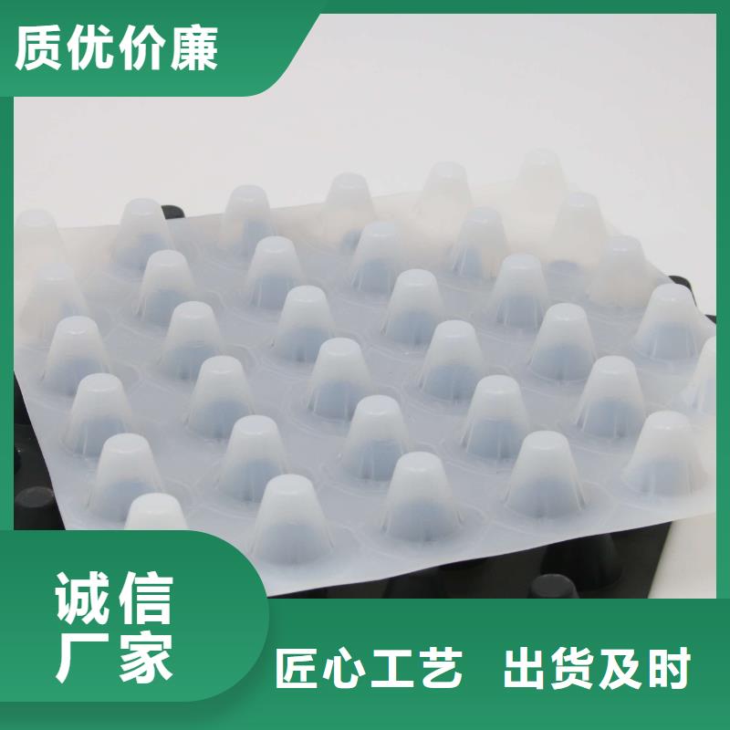 塑料排水板土工席垫好货有保障