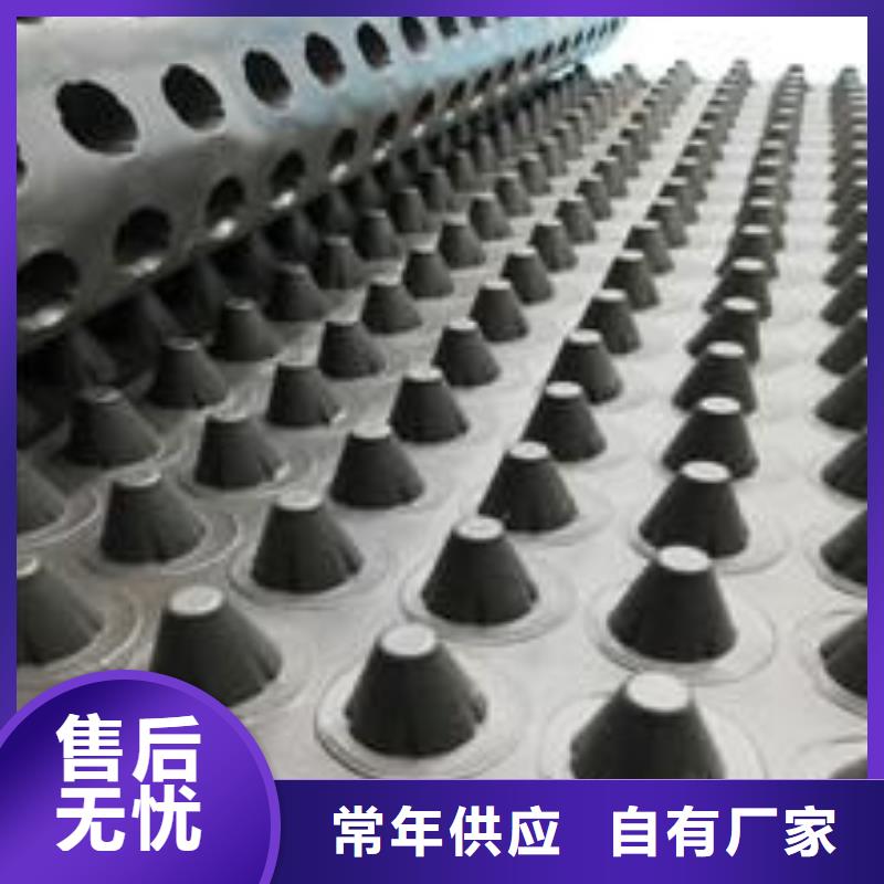 塑料排水板塑料盲沟工厂现货供应