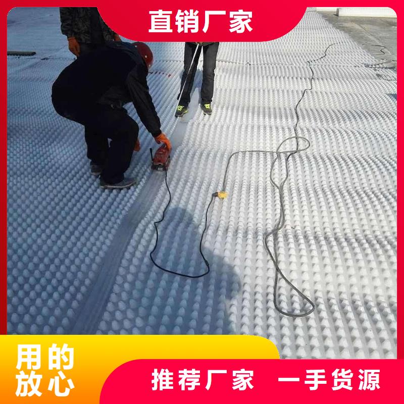 塑料排水板土工格室省心又省钱