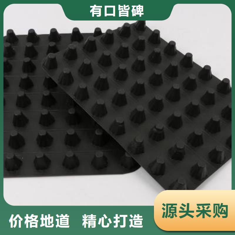 塑料排水板-土工格栅厂家