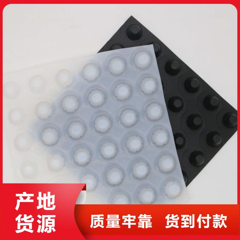 塑料排水板复合土工膜可零售可批发