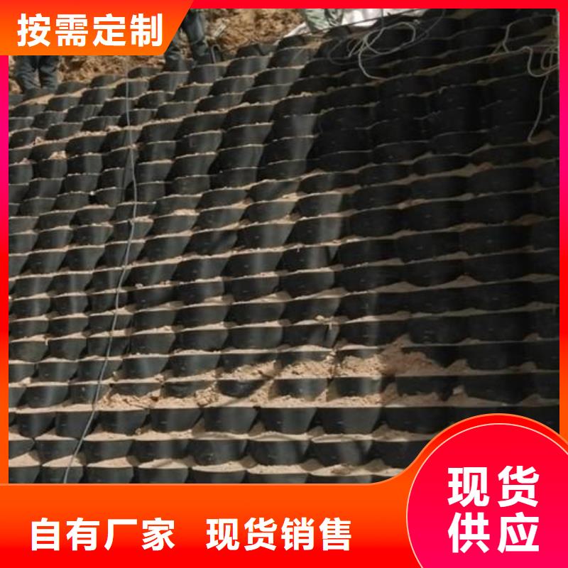 土工格室涤纶土工格栅保障产品质量
