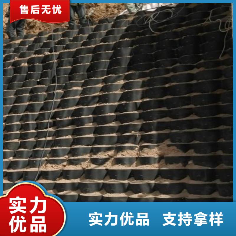 土工格室玻纤土工格栅厂家实力大