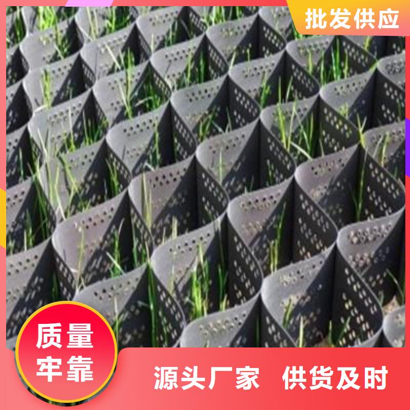 土工格室涤纶土工格栅保障产品质量