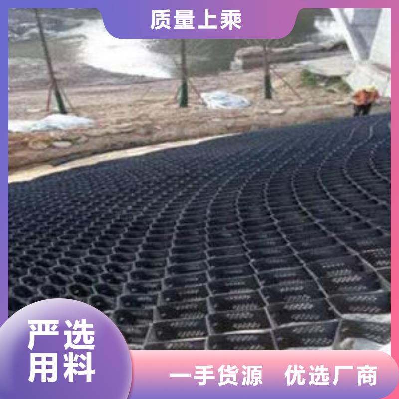 土工格室涤纶土工格栅保障产品质量