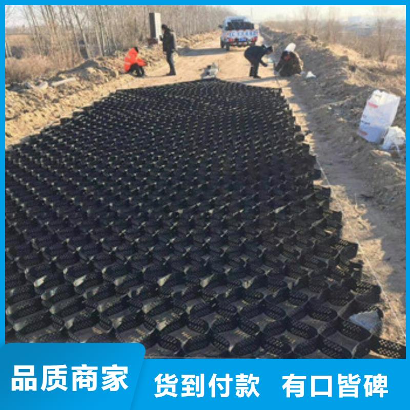 土工格室玻纤土工格栅厂家实力大