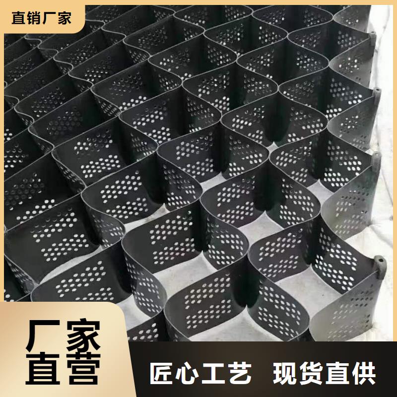 土工格室玻纤土工格栅厂家实力大
