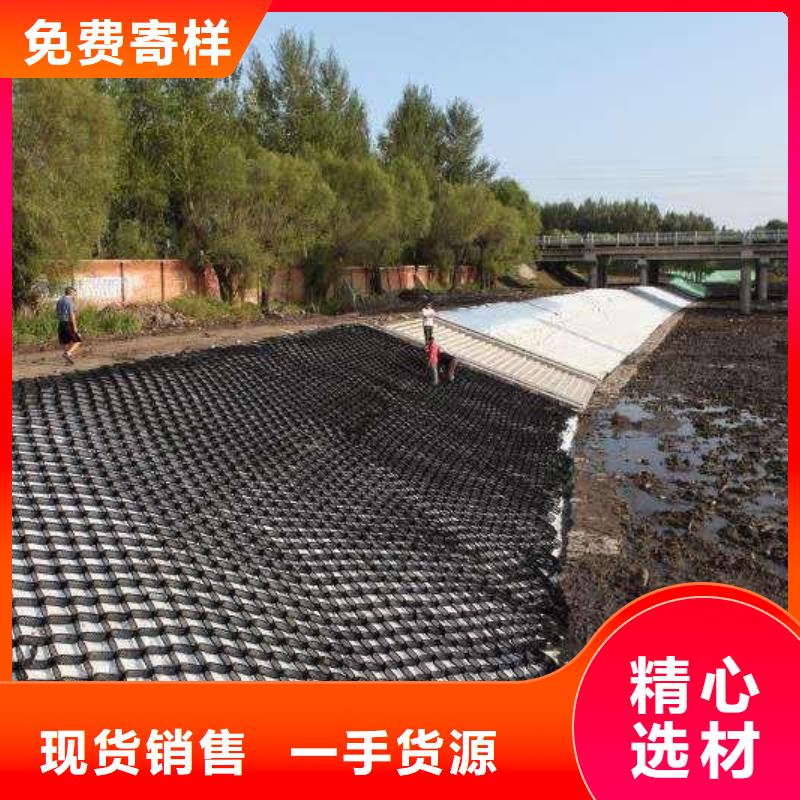 土工格室塑料土工滤网厂家直营