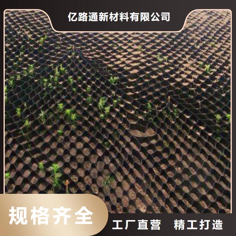 土工格室塑料土工滤网厂家直营