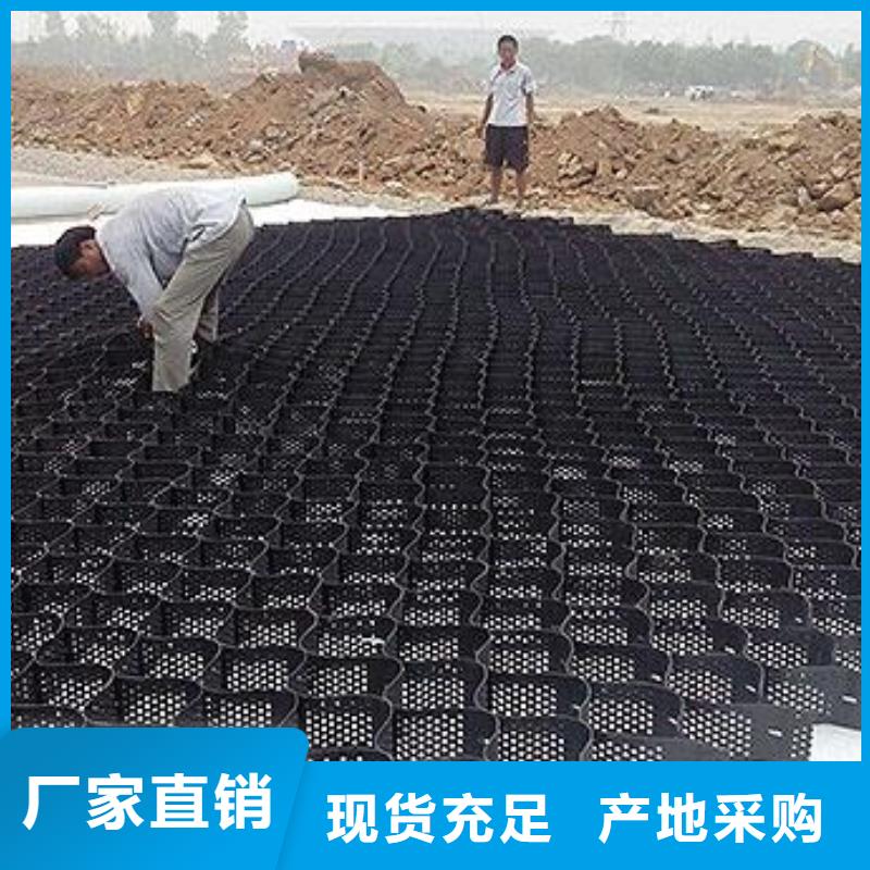 土工格室塑料土工滤网厂家直营