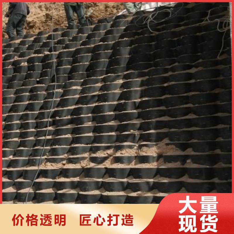 土工格室涤纶土工格栅保障产品质量