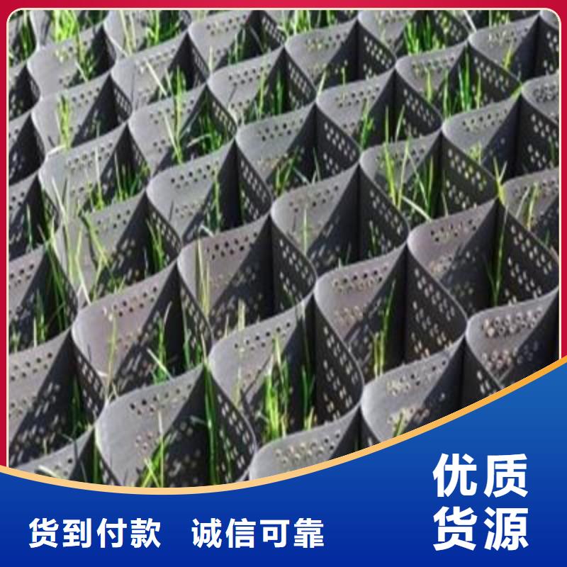 土工格室玻纤土工格栅厂家实力大