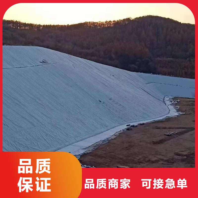 三维复合排水网-hdpe士工膜可放心采购